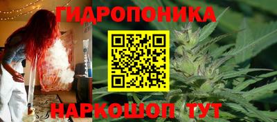гашик Тверь