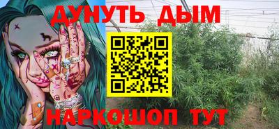 гашик Тверь