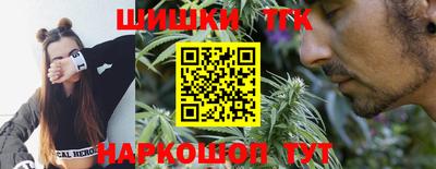 гашик Тверь