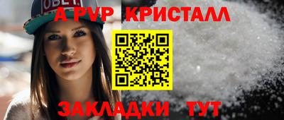 гашик Тверь