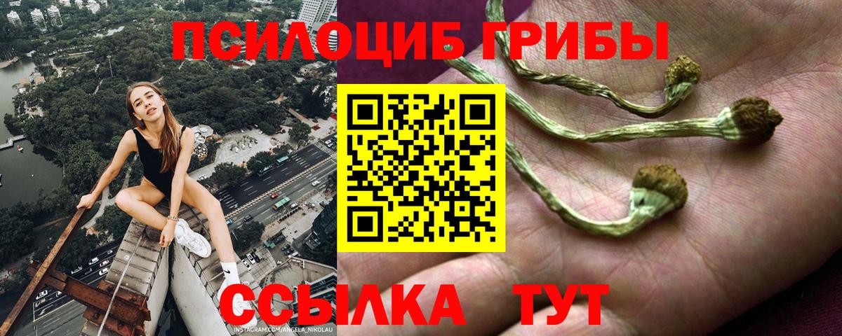 Псилоцибиновые грибы прущие грибы Новоалтайск
